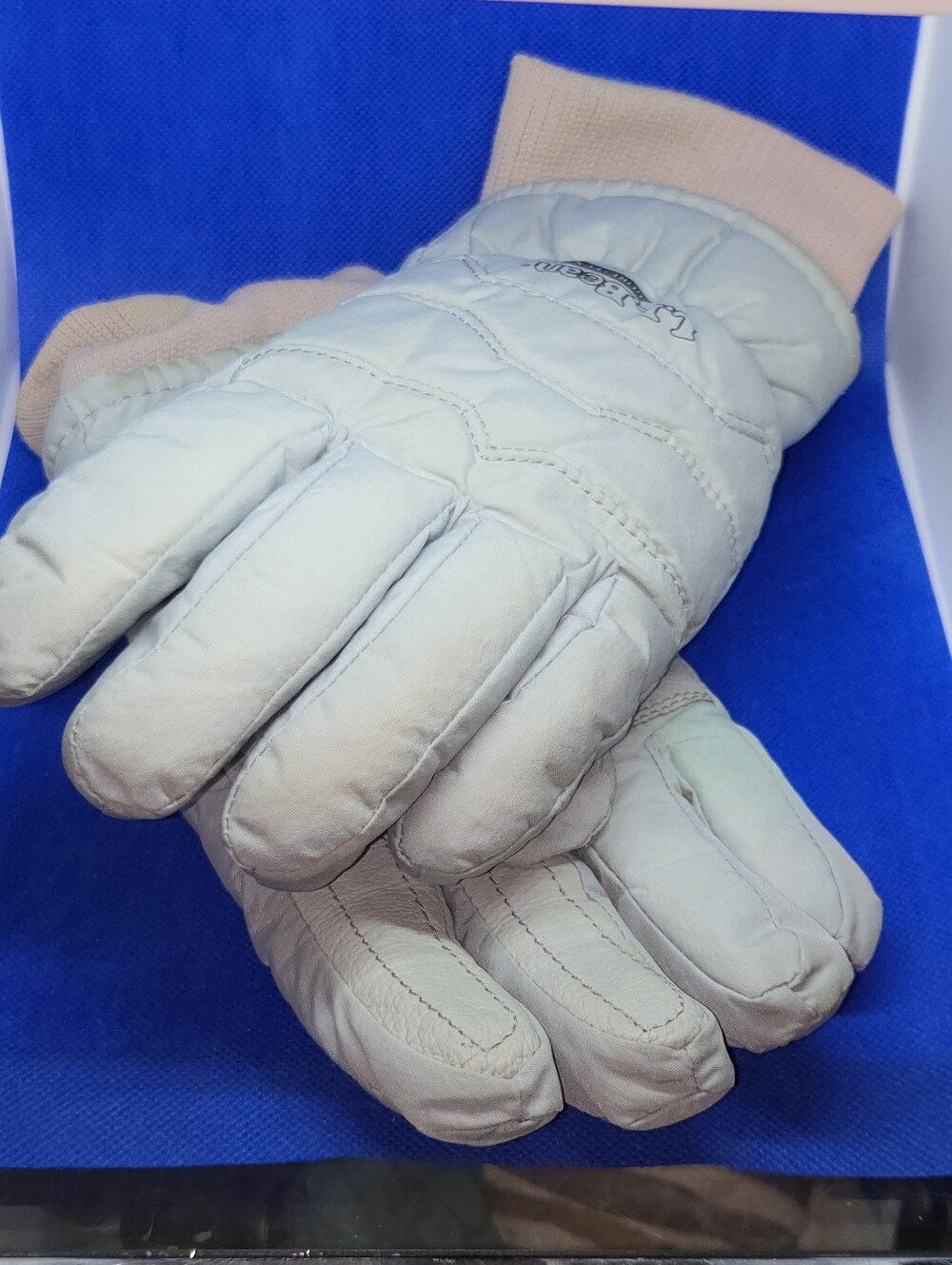 Vintage L.L. Bean Gore-Tex Ski Gloves Womens Small Leather Palm Thermolite Heatr